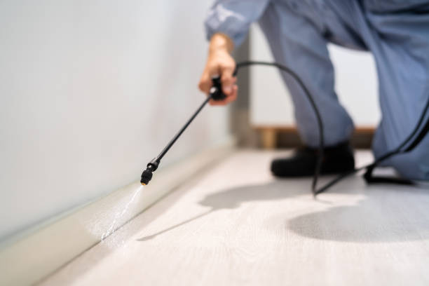Rodent Entry Point Assessment in Meadow Lakes