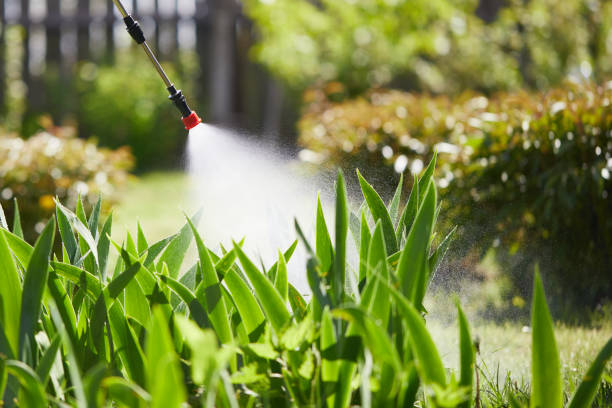 Tamper-Resistant Bait Stations for Rodents in Meadow Lakes