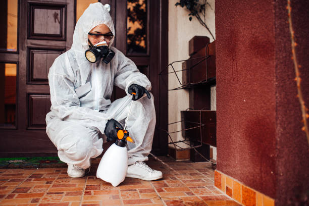 Attic and Crawl Space Rodent Treatment in Meadow Lakes