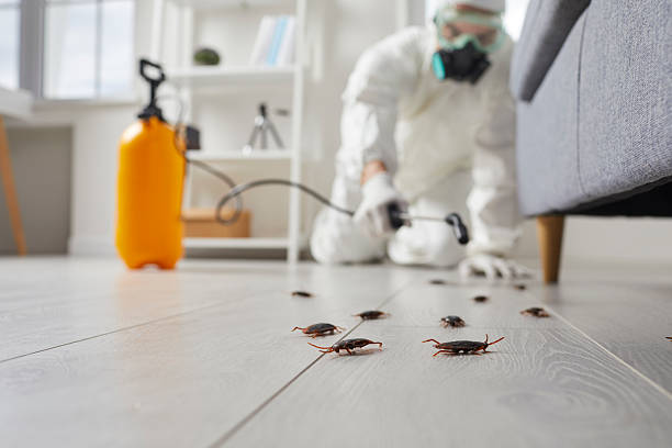 Commercial Rodent Management in Meadow Lakes